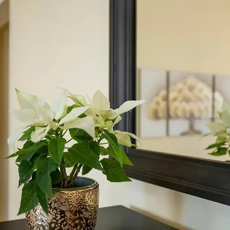 Palmas Ocean View Apartment